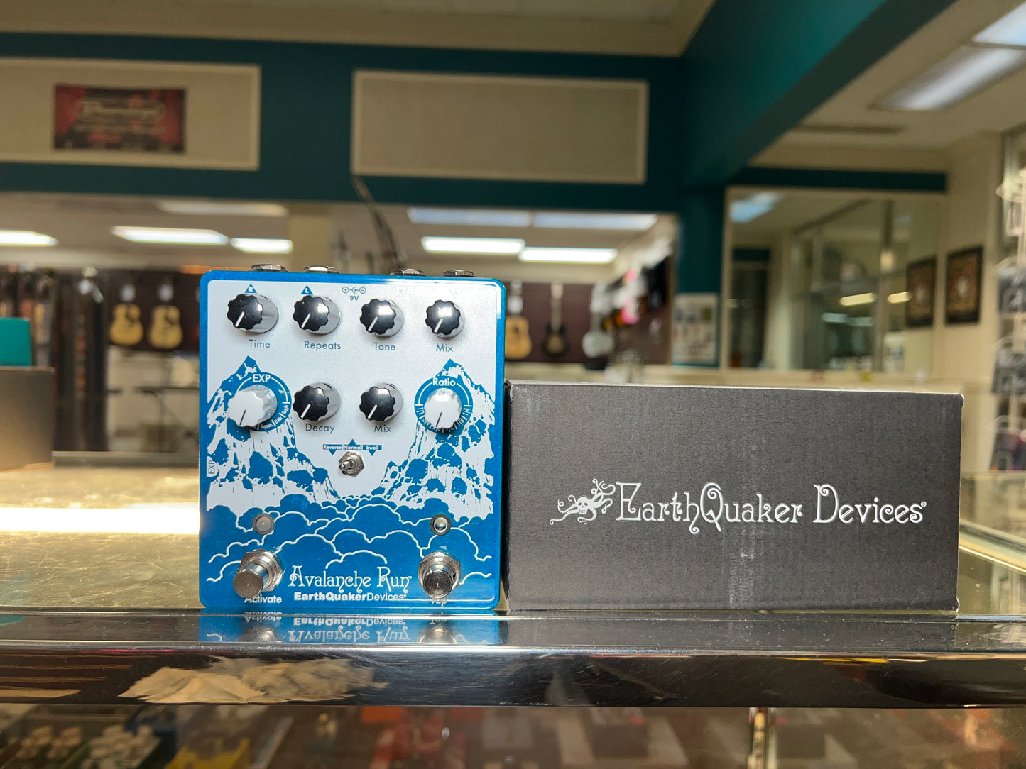 Earthquaker Devices Avalanche Run